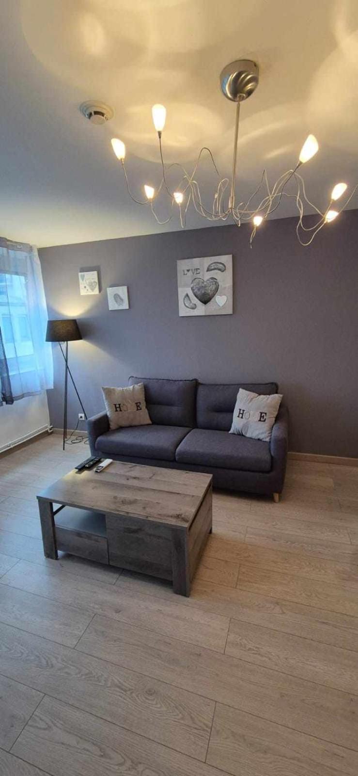 Nouveau !! Appartement Confortable Totalement Renove Avec Parking Gratuit - Hypercentre De Nancy Luaran gambar